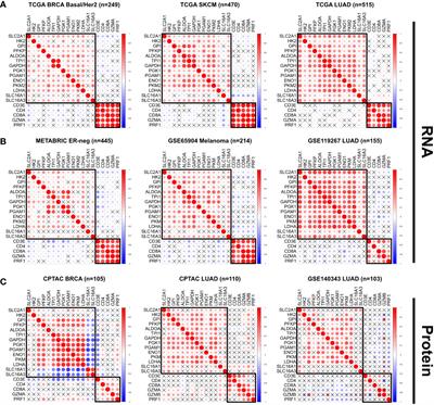 Increased tumor glycolysis is associated with decreased immune infiltration across human solid tumors